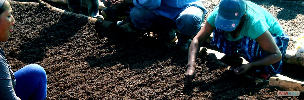 Forestation Project in San Jose Km 6 - 2014.