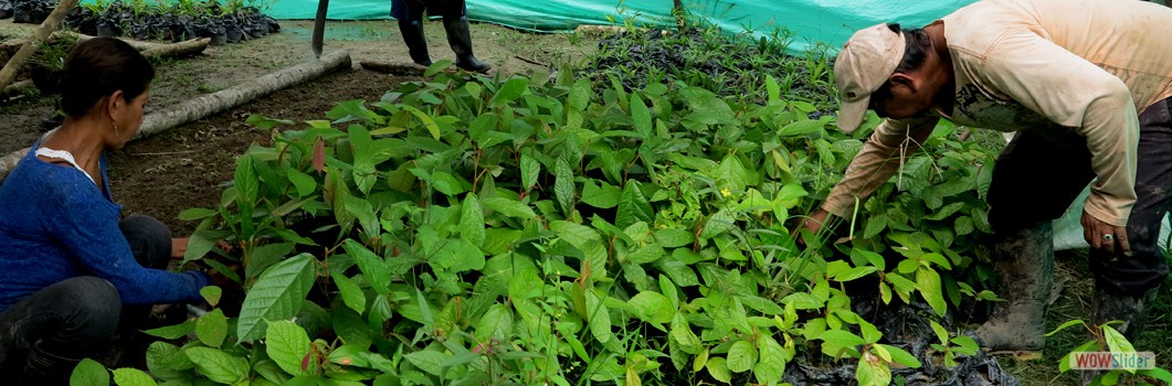 Forestation Project in San Jos del Ro - 2015.