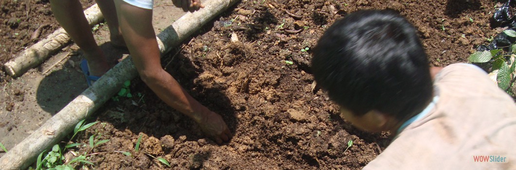 Forestation Project in San Martn de Amacayacu - 2015.