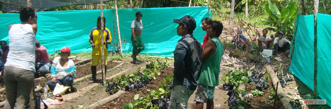 Forestation Project in San Martn de Amacayacu - 2016.