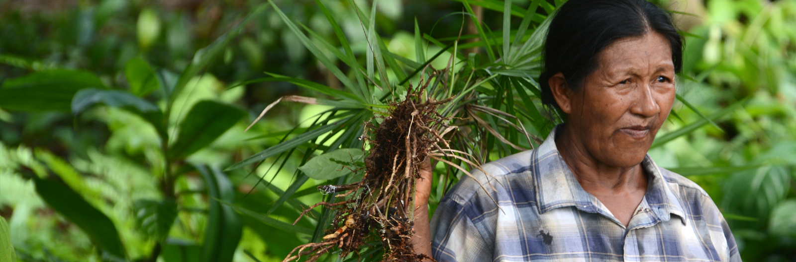 Green Hope Colombia visiting the Reforestation Projects 2019.