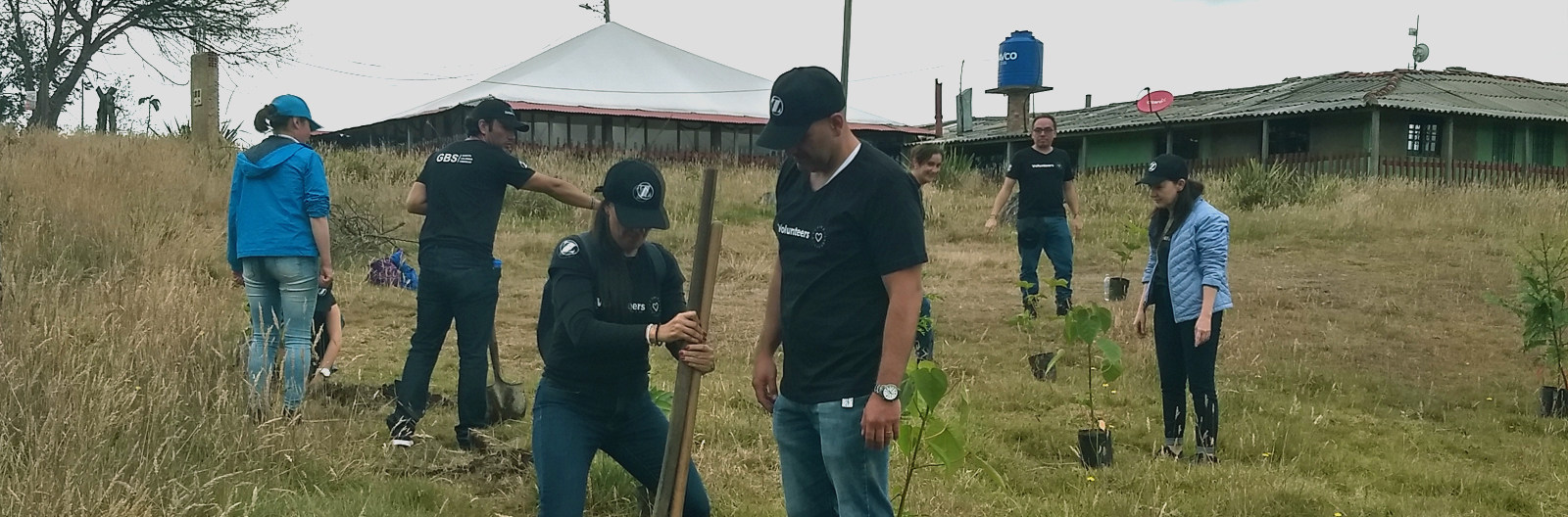 Reforestation MONTAA DEL OSO . ZIMMER BIOMET . ANDREA SEMILLAS . VIBRANTE NATURALEZA.