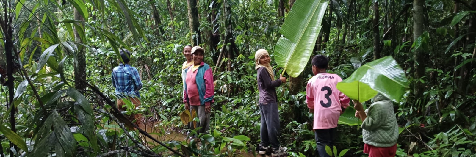 Visit ForestEver - AFD . Amazonas Colombia.